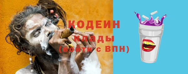 мдпв Вязьма
