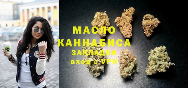 скорость Вяземский
