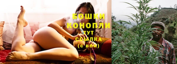 скорость Вяземский